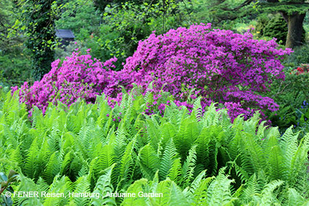 Arduaine Garden in Schottland